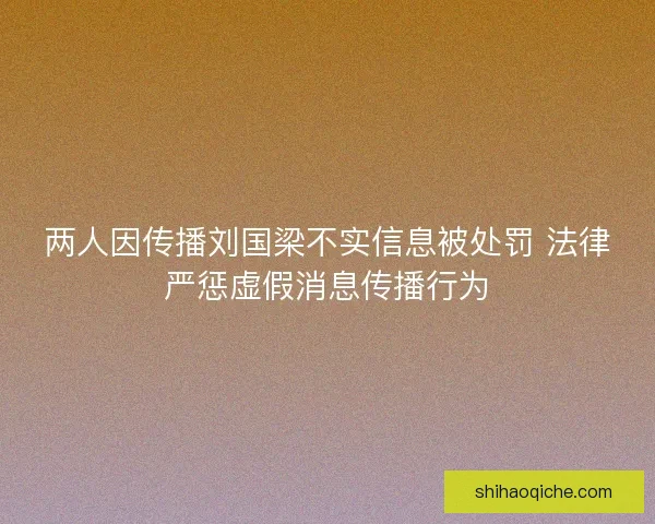 两人因传播刘国梁不实信息被处罚 法律严惩虚假消息传播行为