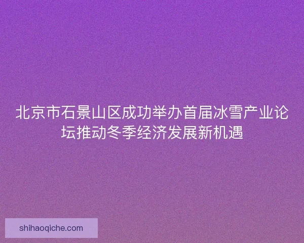 北京市石景山区成功举办首届冰雪产业论坛推动冬季经济发展新机遇