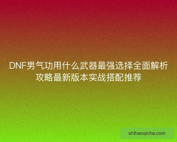 DNF男气功用什么武器最强选择全面解析攻略最新版本实战搭配推荐
